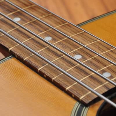 Vester Fretless acoustic bass VB385 image 10