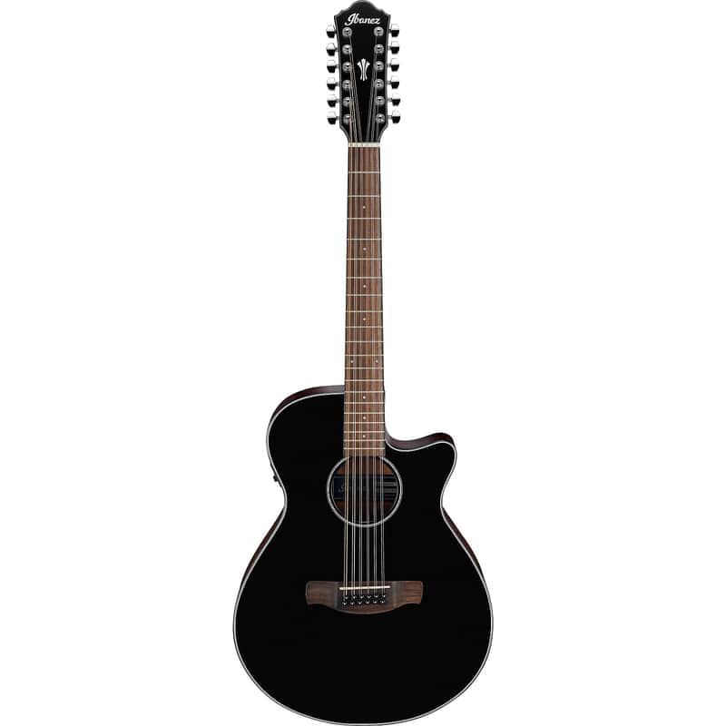 Ibanez AEG5012 12-String image 1