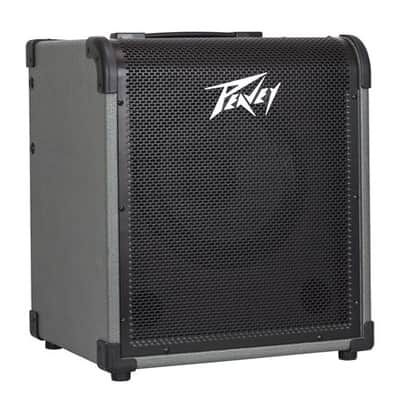 SWR LA12 Bass Combo Amplifier 60 watts | Reverb