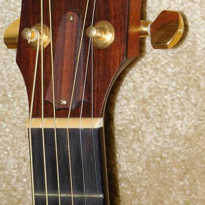 Taylor 514ce-L10 Acoustic/Electric Guitar*Fall Limited Edition
