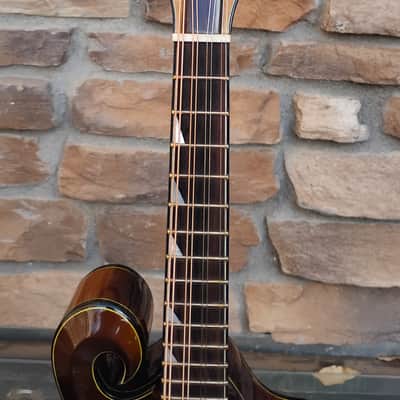 Holst F-4 Hybrid 2023 - Sunburst image 6