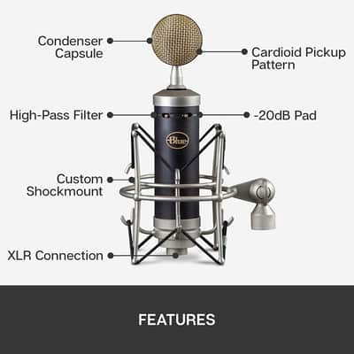 Blue Baby Bottle SL XLR Condenser Microphone for Recording and Streaming, Large-Diaphragm Cardioid C image 6