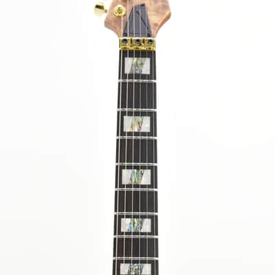 Ibanez	RGT1220PB Premium Electric guitar With gigbag 3359gr image 11