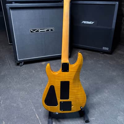 Hamer Chaparral USA Elite Sustainiac  1990 image 2