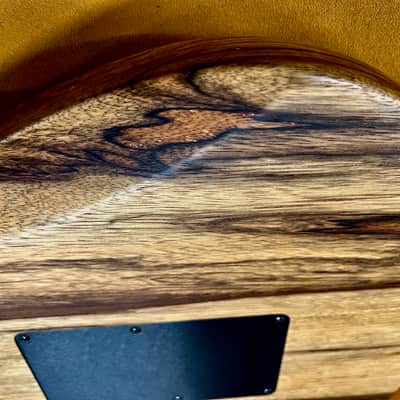 Fender Limited Edition American Acoustasonic Stratocaster 2020 - Exotic Ziricote image 22