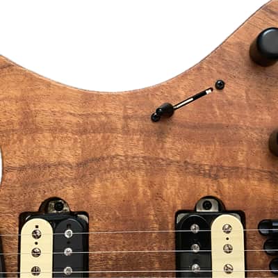 Strandberg Boden Washburn Custom Shop USA image 3