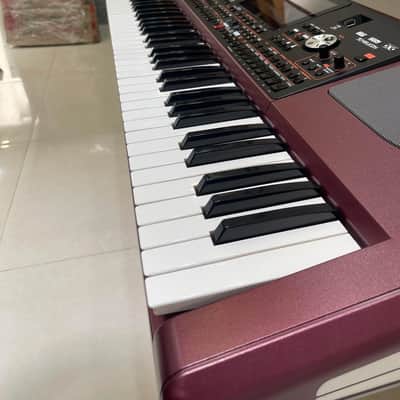 Korg PA1000 61-Key Professional Arranger 2017 - Present - Red image 3
