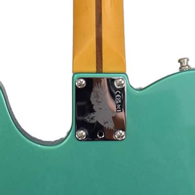 Fender Telecaster Susan Tedeschi AZM RW image 8