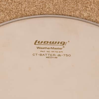 Vintage 16" Ludwig DB-750 "Gold Logo" Coated Floor Tom Head image 2