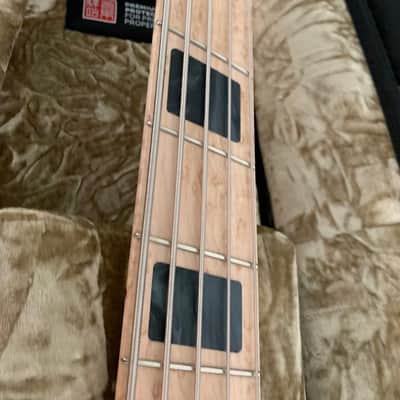 Dingwall  Z2 5 String Bass image 6