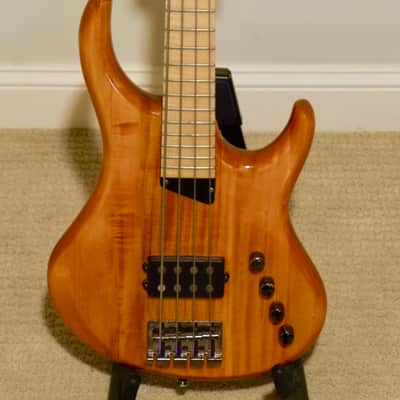 MTD Kingston Artist 4-String Bass w/ Maple Fretboard Amber image 1