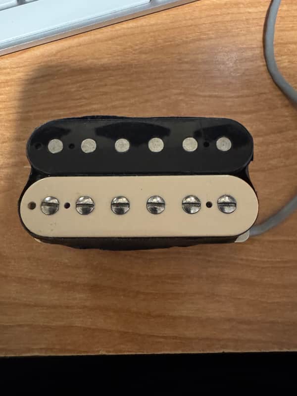 Gibson BB3 2012 - Zebra image 1