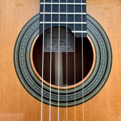 2025 Jialan Chen Coclea Cedro image 4