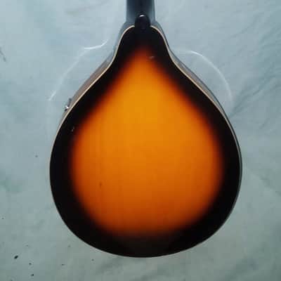 Johnson Oval Hole Acoustic Model MA-100 Needs New Strings and Tailpiece Cover image 4