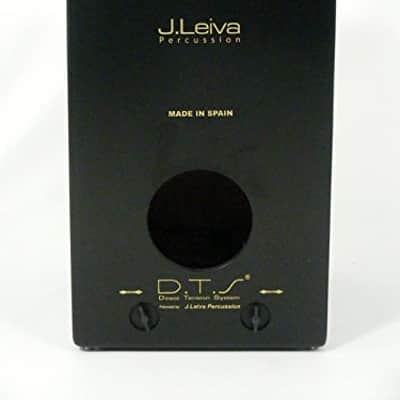 Leiva Cajón - ZOCO 2.0 with 2 DTS incl. Bag image 2