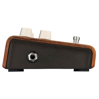 L.R. Baggs Align Series Reverb Acoustic Guitar Effects Pedal image 4