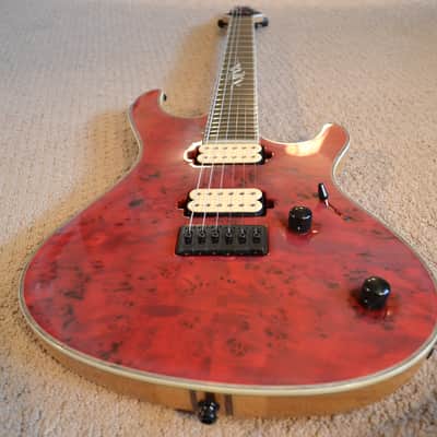 Mayones Regius 25th Anniversary image 5