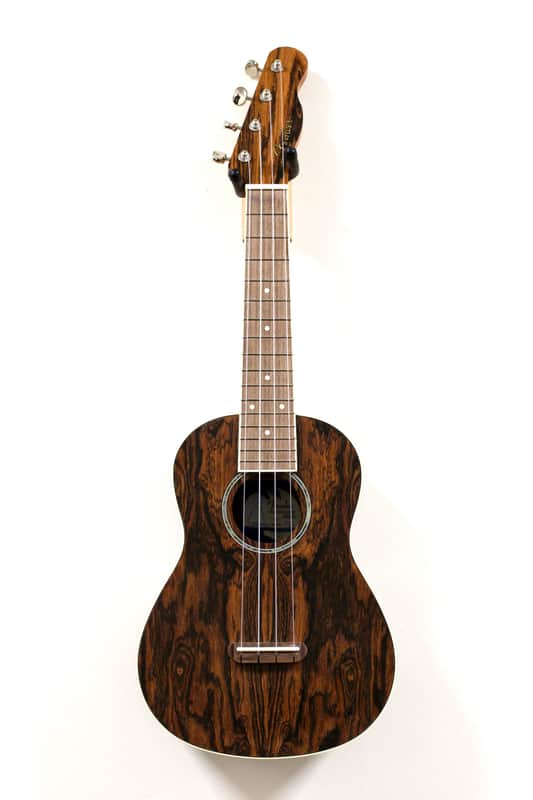 Fender Zuma Exotic Concert Ukulele image 1