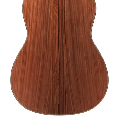Jellinghaus Master Built Torres 1A 114 Spruce Pau Ferro B-Stock image 4