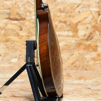 Eastman MD504 2022 imagen 5
