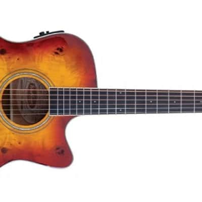 Washburn Electro Acoustic Guitar BURL ACE - Grand Auditorium - Amber Fade image 10