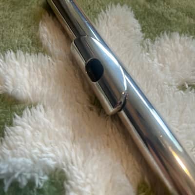 Solexa 201 Flute – Full Setup w/ Hard Case, Travel Case, Cleaning Kit + Plugs image 4