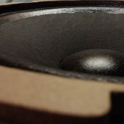8" Guitar Speaker P.A. Speaker "Power-Vintage" tonality ! Traynor Deep 8" 1973 100% re-fabricated image 9