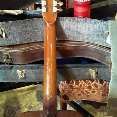 Alvarez 5221 12 String Mahogany image 6