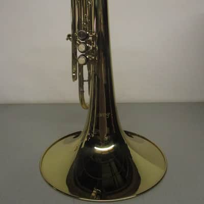 Moz Mellophone with Case image 4