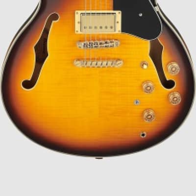 Ibanez JSM10EM TTB John Scofield Signature Semi Hollowbody Electric Guitar. 2 Tone Burst image 2