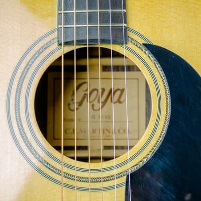 Goya G316H w/ Case image 7