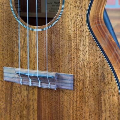 Martin TKE Solid Koa Tenor Acoustic-electric Ukulele - Natural Gloss image 3
