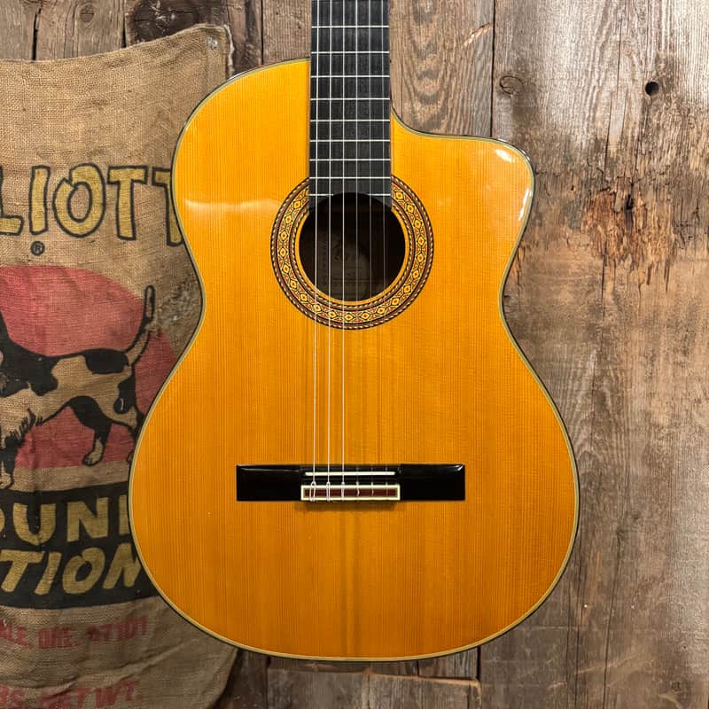 Takamine CP132sc image 1