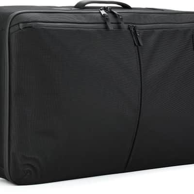 Moog Minimoog Model D SR Case Bild 2