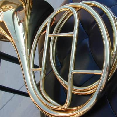 BerkeleyWind Natural horn image 7