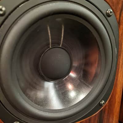 Pair of Vienna Acoustics Maestro Speakers image 8