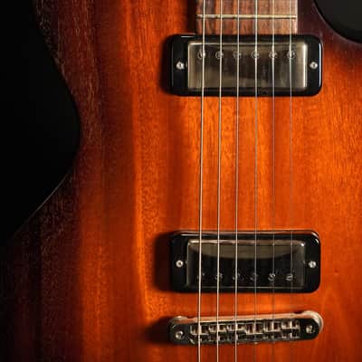 Collings 360 Solidbody Custom Mini Humbucker 2014 - Tobacco Burst Doghair image 3