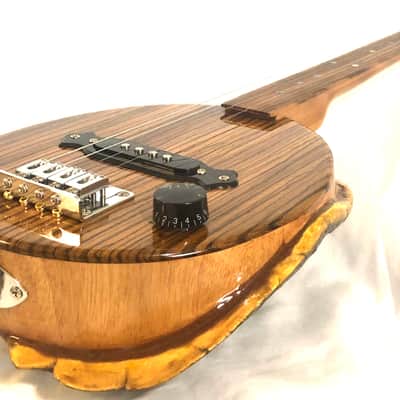 4 string Turtle shell slide guitar image 10