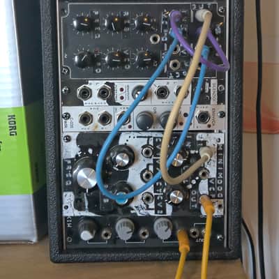 Modular Eurorack Monotron (MS-20) Moog VCF DIY + Ribbon + Silenzio Ladik - 48HP image 3
