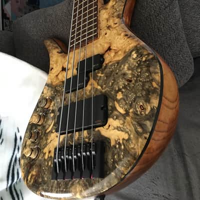 Prana custom bass PC-Buckeye burl 5str.  2014 Clear image 2