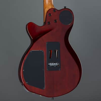 Godin xtSA Light Burst Flame incl. Gigbag - Electric Guitar image 6