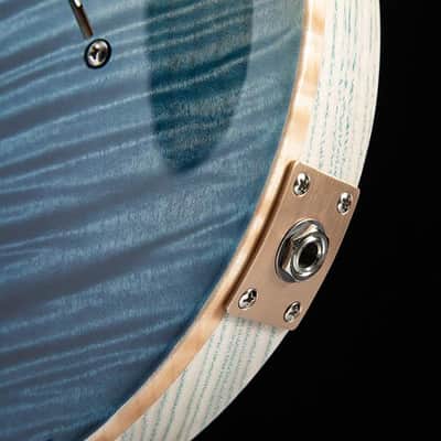 Paul Reed Smith Private Stock Custom 24 Walking Zombie Iceberg Crossfade image 13