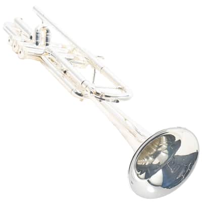 S.E. Shires Q10RS Q-Series Professional Bb Trumpet SN Q3361 image 12