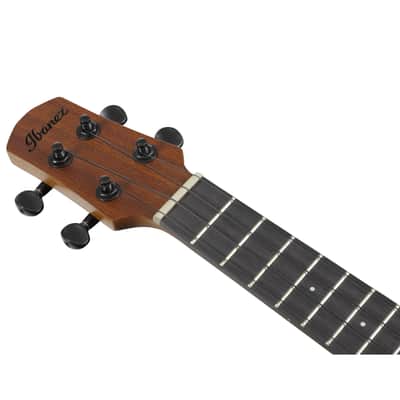 Ibanez AUC10E-OPN Concert Ukulele - Concert Ukulele image 6