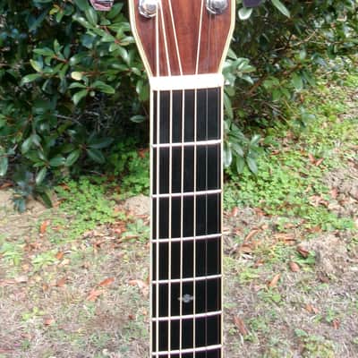 1981 Yairi D 35 YW-500P - Natural+Hard Case image 5