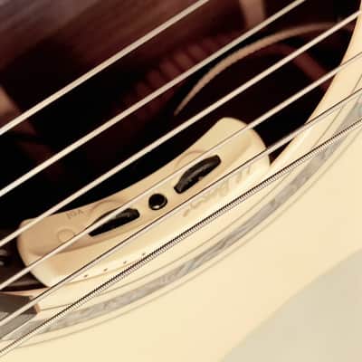 Dowina Granadillo GAc - Master Series / LR Baggs image 10