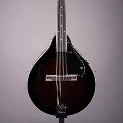 Ibanez M510 A Style Acoustic Mandolin Dark Violin Sunburst High Gloss image 2