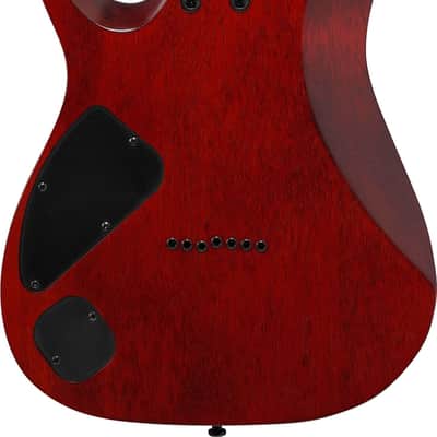IBANEZ RGA742FM-TGF E-Gitarre transparent grey flat imagen 3