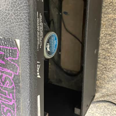 Peavey Envoy 110 Combo amp • fair image 4