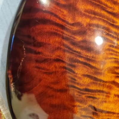 ESP LTD Surveyor-400 2006 - 2007 - Natural image 9